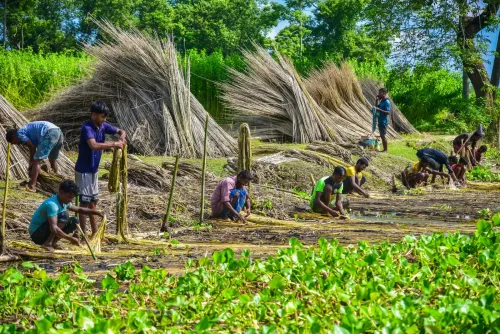 PM Dhan-Dhaanya Krishi Yojana turns 1: 100 agri districts show 28-point score jump