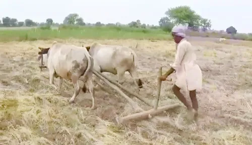 What is the Impact of PM KISAN Scheme on Farmers in MP's Damoh?