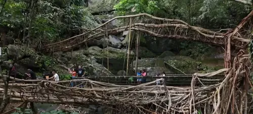 Meghalaya living root bridges: Modi highlights UNESCO bid in Mann Ki Baat