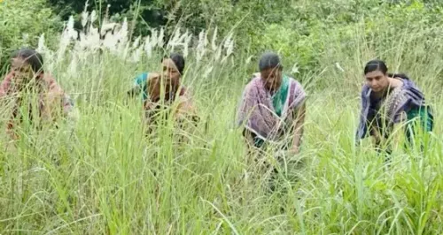 PM Modi praises Odisha's Maithili Bhue for Debrigarh forest conservation