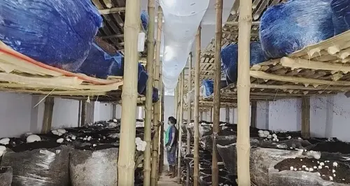पीएमएफएमई योजना से शेखपुरा के संजीत वर्णवाल का मशरूम कारोबार, 10 से अधिक को दे रहे रोज़गार
