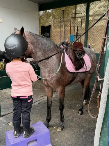 Priyanka Chopra shares Malti's horse encounter and Mother's Day card