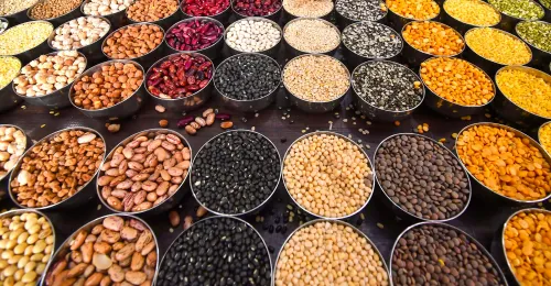 What Are the Plans for Pulses and Oilseeds Procurement in Haryana?