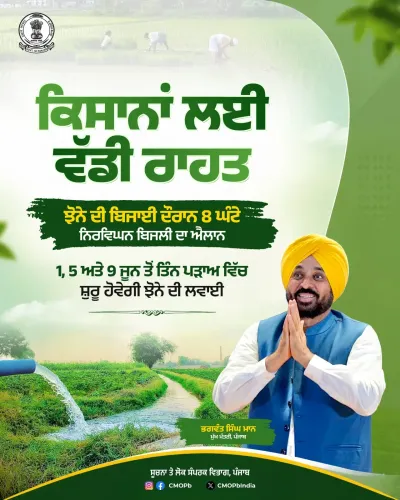 Punjab CM Office: Paddy Transplant in 3 Phases, 8-Hr Power Assured