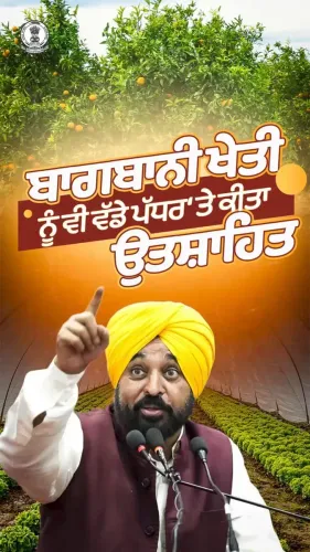 Punjab CM Office Pushes Horticulture to Diversify Farm Income