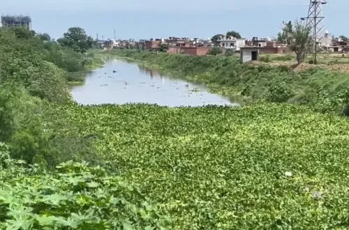 क्या पटियाला में घग्गर नदी का जलस्तर बढ़ने से बाढ़ का खतरा है?