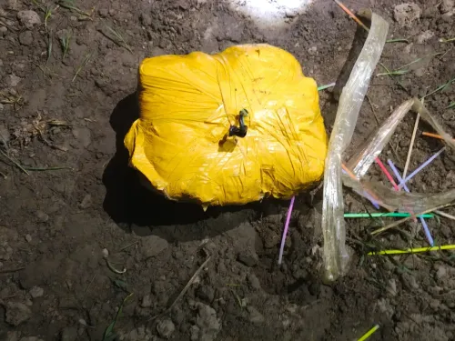 Did Punjab Police and BSF Successfully Seize 12 kg of Heroin in Amritsar?