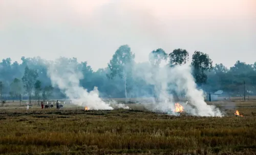 Punjab stubble burning 2026: 52 fires logged, one FIR registered