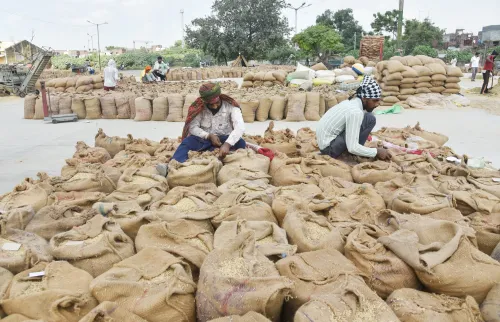Is Punjab Ready to Procure 172 Lakh Metric Tonnes of Paddy?