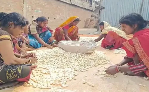 PM Modi's Mann Ki Baat mention puts Purnia makhana on global map, youth flock to cultivation