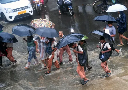 रायगढ़ में भारी बारिश: 2 जुलाई को 7 तालुकों के सभी स्कूल और आंगनवाड़ी बंद, IMD का 5 जुलाई तक अलर्ट