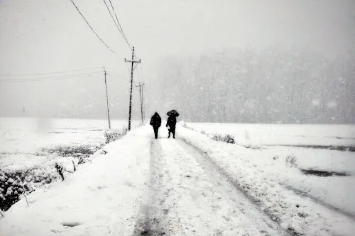 Heavy Rainfall Hits Jammu and Kashmir, Snowfall Recorded in Higher Elevations