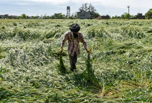 Rajasthan CM Urges District Collectors to Evaluate Crop Damage from Heavy Rains