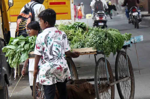 Has Rajasthan Banned Employment for Children Under 14 in Shops?