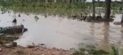 What Actions Has the NGT Taken to Safeguard Water Bodies in Bhilwara?