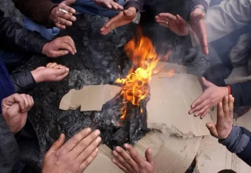 Cold Wave Hits Rajasthan: Fatehpur Freezes at 0.1°C, Sangariya Records 1.3°C