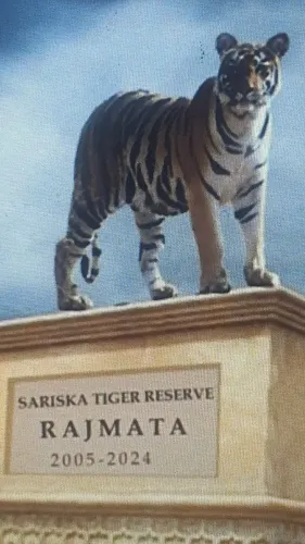 Tigress 'Rajmata' to be Honored with Statue in Sariska