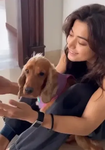 Is Rashmika Mandanna in love with ‘Rahein Na Rahein Hum’?