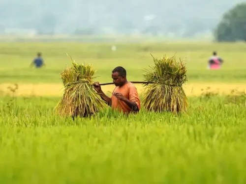 Regenerative agriculture gains ground in India to restore soil health, lift farm resilience