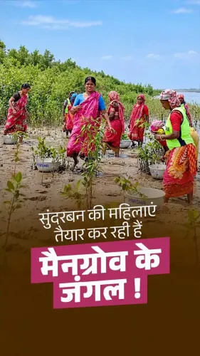 Rijiju Spotlights Sundarbans Women Restoring Mangroves