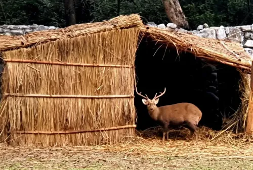 What measures are being taken for zoo animals in Punjab during winter?