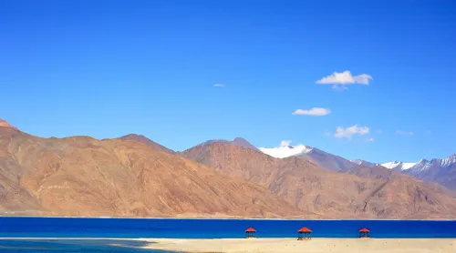₹2 lakh fine on tourists for off-roading at Pangong Lake, Ladakh wildlife zones