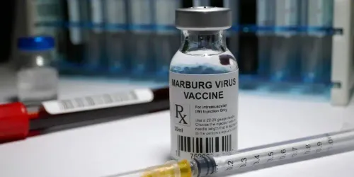 Rwanda Officially Ends Marburg Virus Outbreak