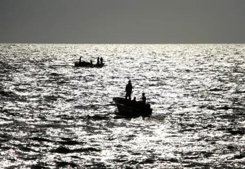 Tragic Incident in South Korea: Seven Lives Lost, One Missing After Fishing Vessel Capsizes