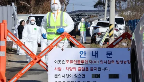 Has South Korea Confirmed Its 8th Case of Highly Contagious Bird Flu This Season?