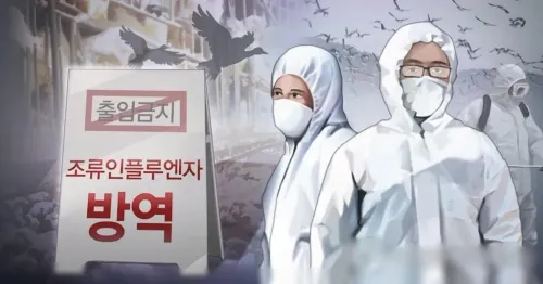 Has South Korea Stopped Imports of Brazilian Poultry Due to Bird Flu?