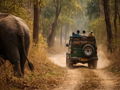 Karnataka Assembly Discusses Safari Operations Amid Wildlife Conflicts