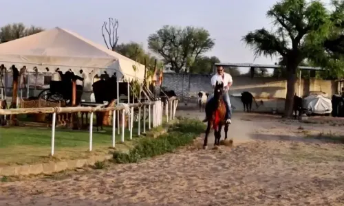 Saif Ali Khan Returns to Horse Riding Months After His Injury