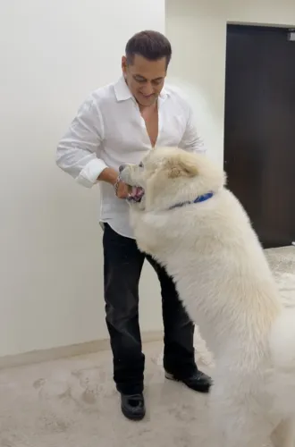Salman Khan Offers a Heartwarming Glimpse of His Midnight Joy