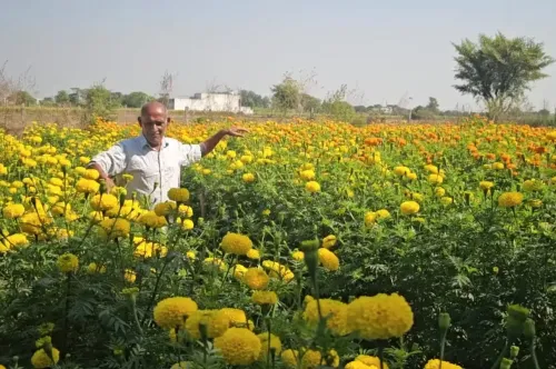 How Did a Samba Farmer Earn Lakhs from Floriculture?