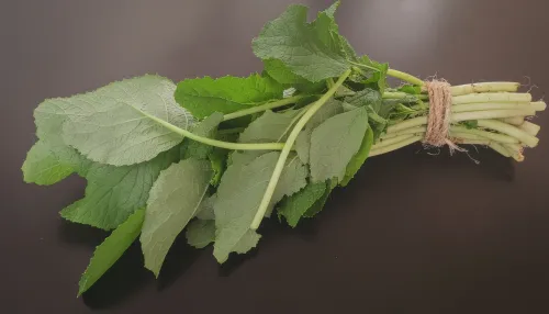 क्या सर्दियों में सरसों का साग सेहत का कवच और स्वाद का साथी है?