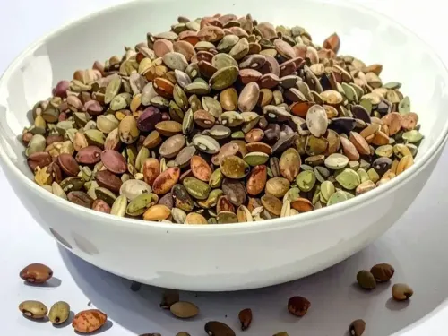 क्या सर्दियों में औषधि की तरह है कुलथी की दाल, शरीर को देती है अनगिनत लाभ?