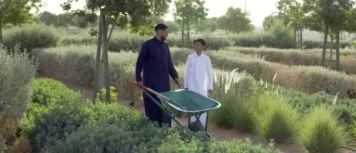 Saudi Arabia Unveils Five Key Initiatives to Boost Afforestation