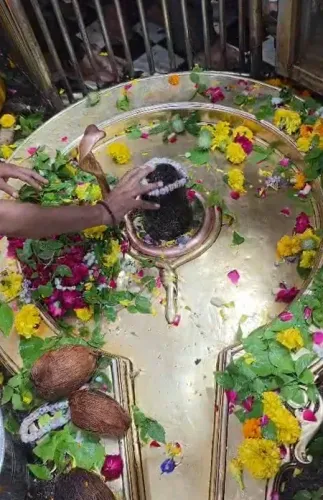 सावन प्रथम सोमवार: ओंकारेश्वर-ममलेश्वर ज्योतिर्लिंग में लाखों श्रद्धालु, शाही सवारी आज