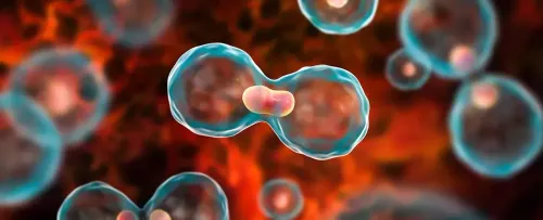 Innovative Technique to Distinguish Healthy from Cancerous Cells