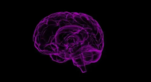 Could a New Molecule Prevent Brain Cell Death in Parkinson's and Alzheimer's?