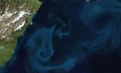 समुद्र में रंगों का अद्भुत नजारा: जलवायु के लिए फाइटोप्लांकटन की भूमिका