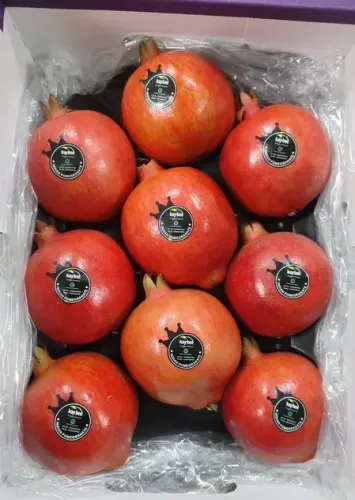 First Sea Shipment of Indian Pomegranates to the US Marks a New Era for Farmers: Piyush Goyal