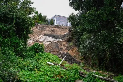 Is the Recovery Phase for New Zealand Landslide Victims Underway?
