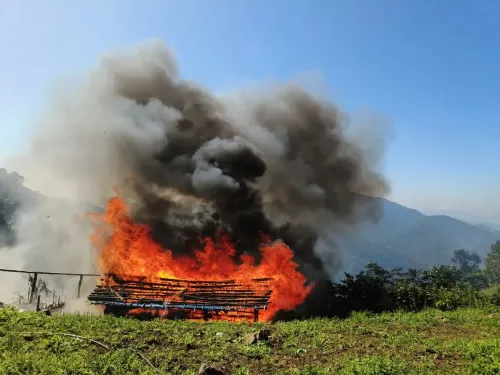 Did Security Forces Successfully Eliminate Poppy Farms in Manipur?