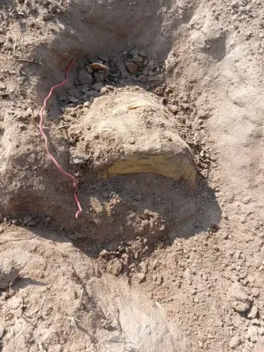 Have Security Forces Neutralised a 10-kg IED Planted by Maoists in Chhattisgarh?