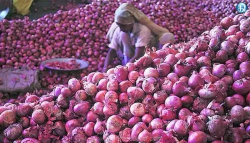 Why Have Shallot Prices Plummeted to Rs 10/kg in Perambalur?