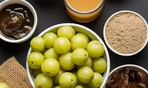 क्या 'रसराज' इम्यून सिस्टम को बूस्ट कर रोगों से छुटकारा देता है?