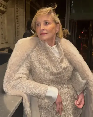 Sharon Stone Turns 68: A Celebration of Her 90s Glamour