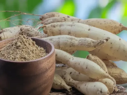 क्या शतावरी सिर्फ महिलाओं के लिए है या पुरुषों के लिए भी यह वरदान है?