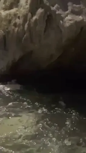 Shekhawat Hails Ganga's Ecological Revival Under Namami Gange